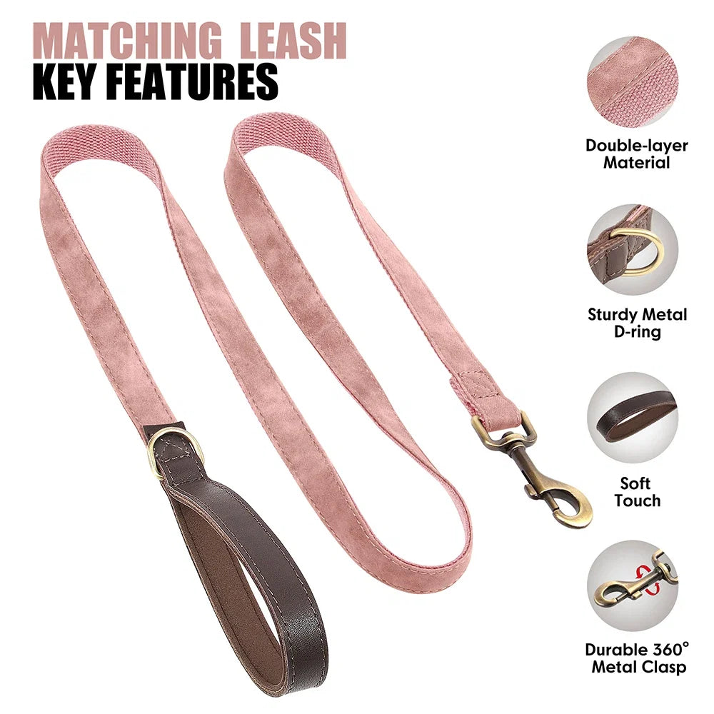Personalised PU Leather Dog Collar & Leash Set