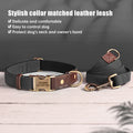 Personalised PU Leather Dog Collar & Leash Set