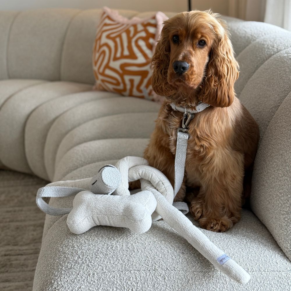 Knot Chew Toy