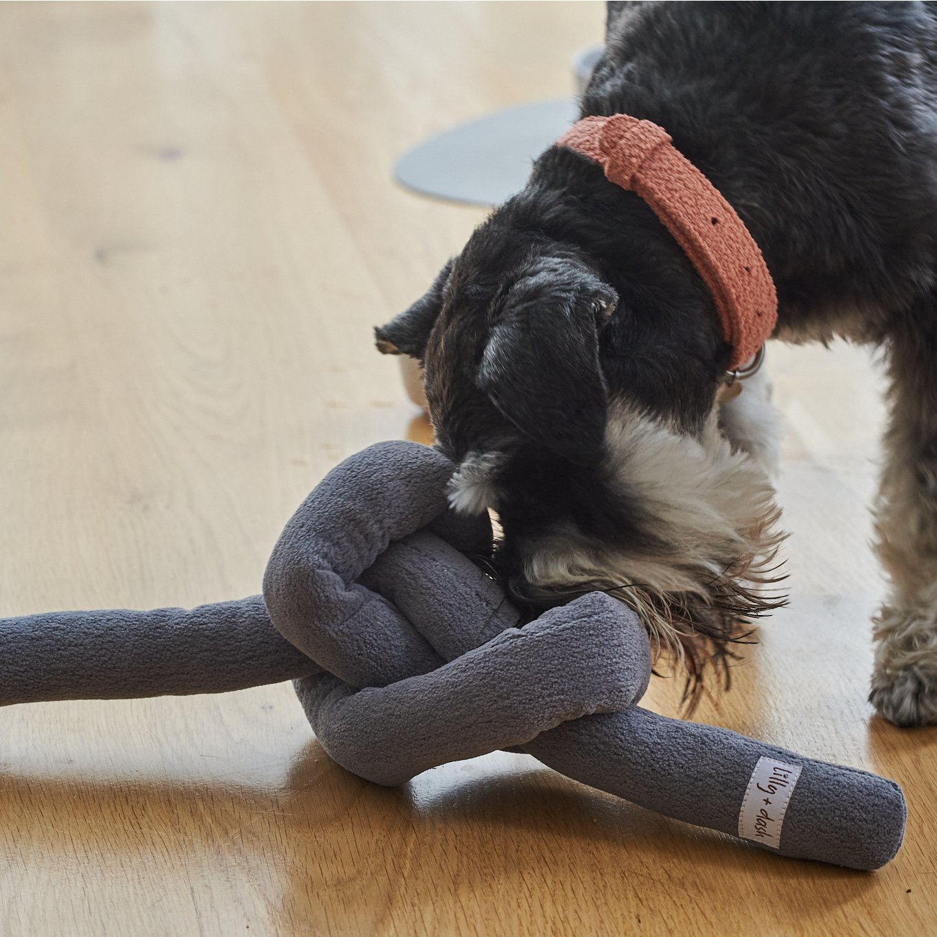 Knot Chew Toy