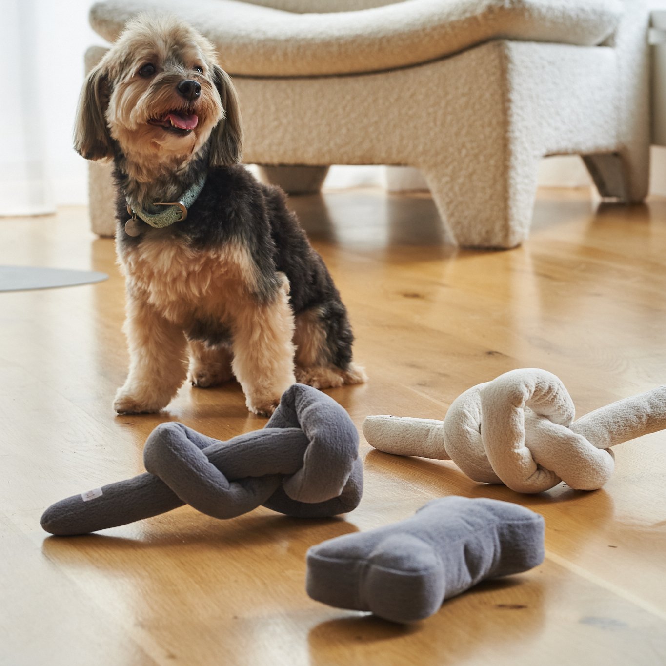 Knot Chew Toy