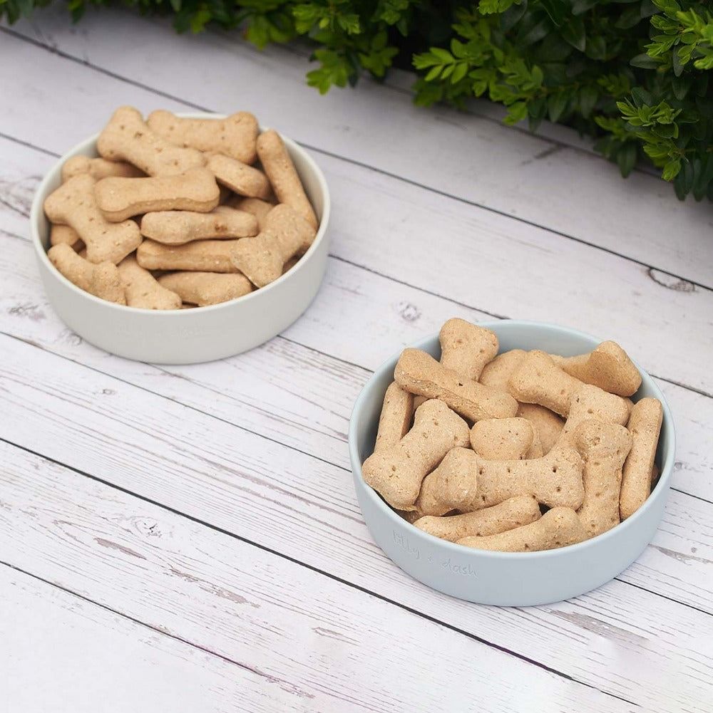 Pet Bowl