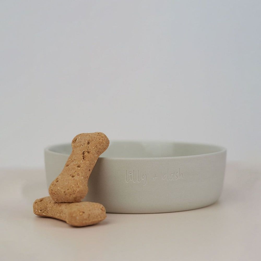 Pet Bowl